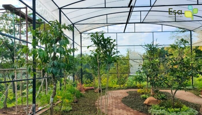 Insect Conservation
