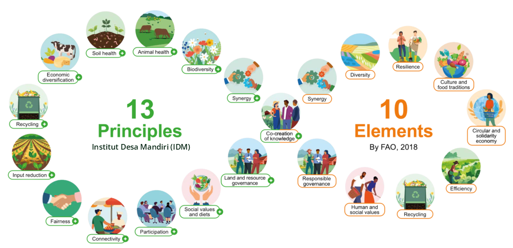 principles idm