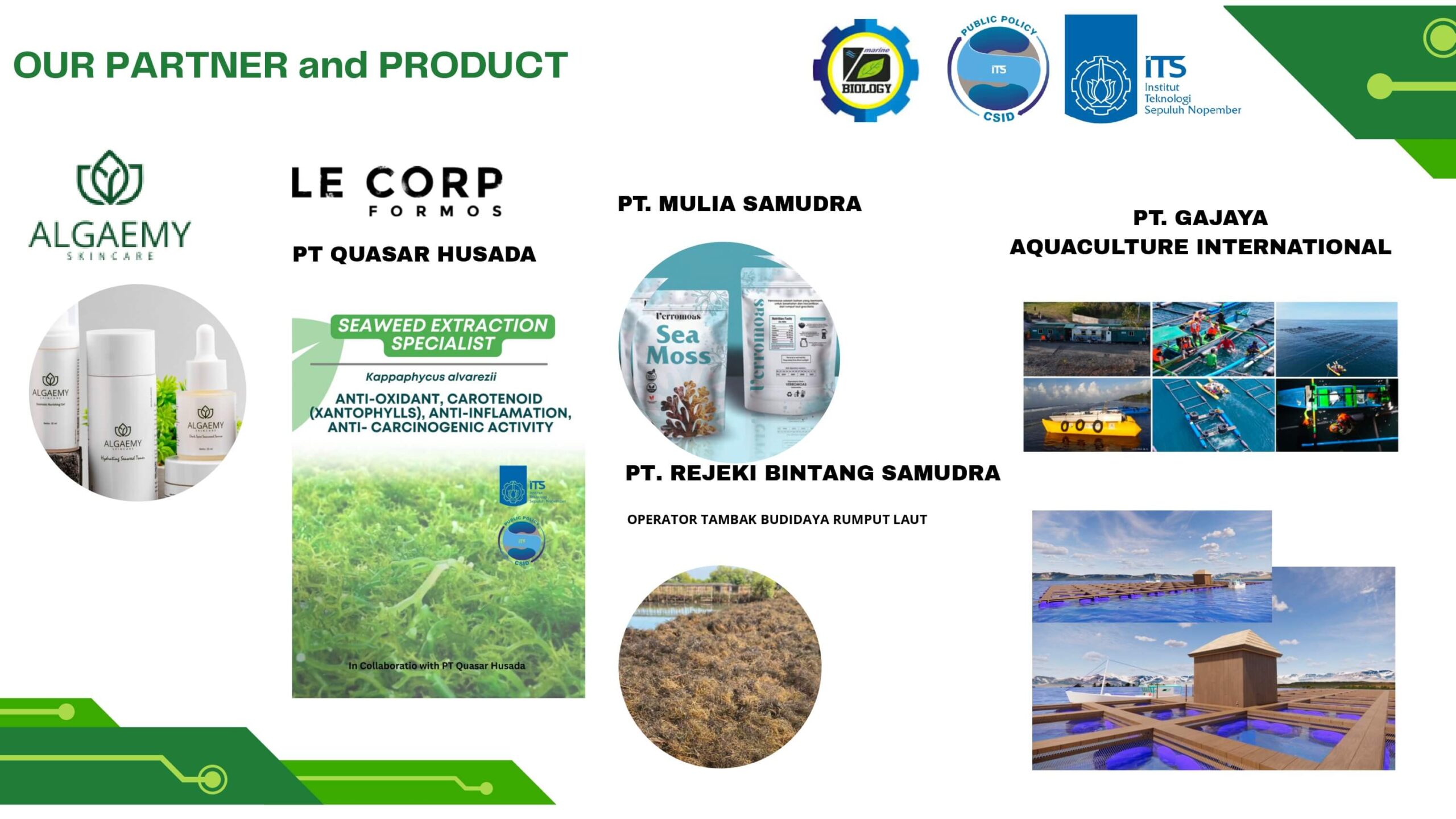 seaweed_page-0008